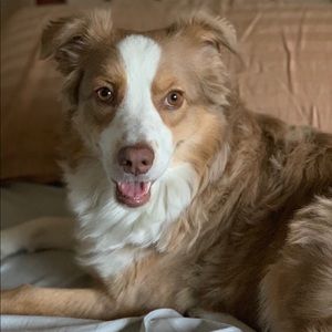 Meet your Posher, Lora